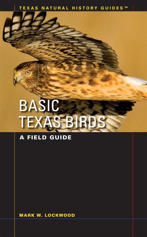 basic texas birds a field guide texas natural history guidestm Epub